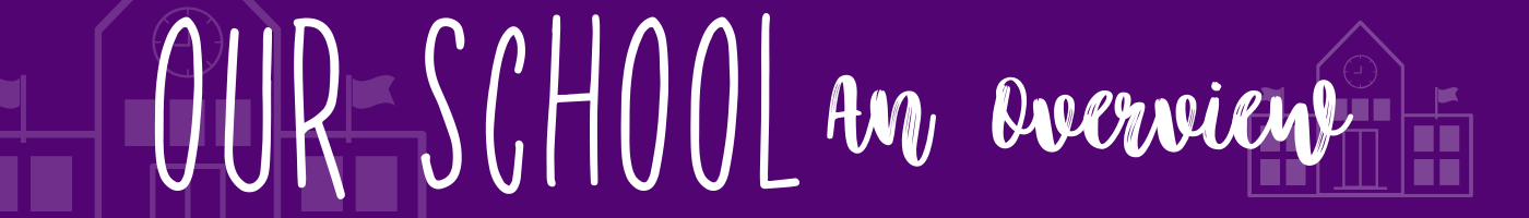 Our School: An Overview